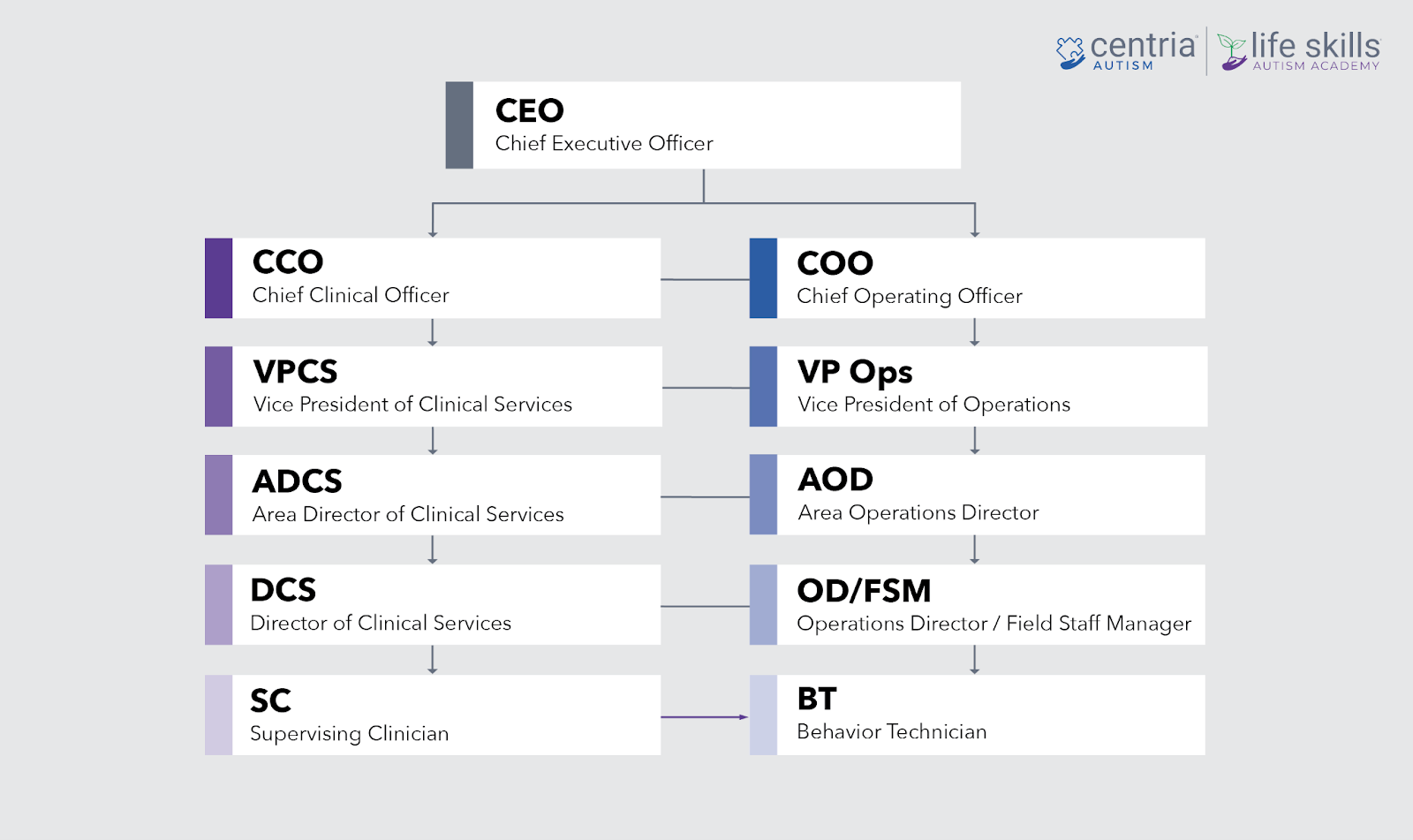 Centria Dyad model employee flow chart