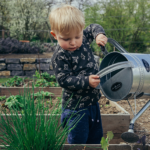 a young boy watering a garden with a watering can