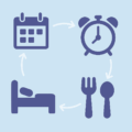 graphic of daily routine