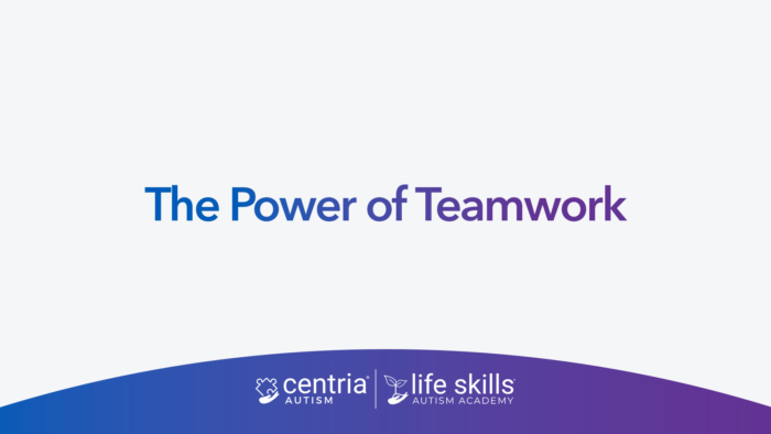 the power of teamwork
