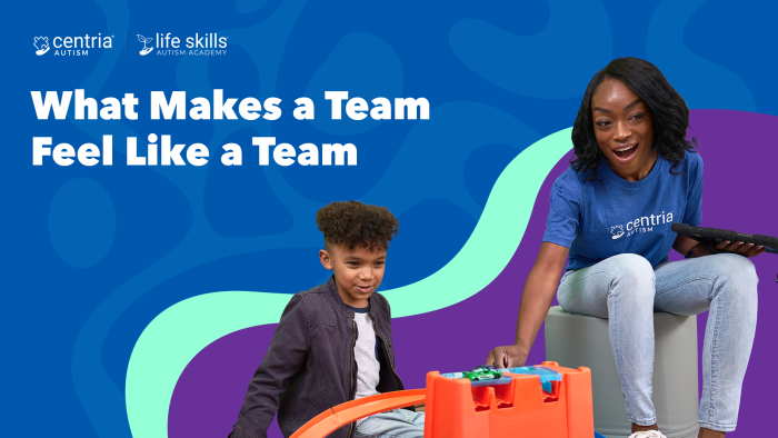 what makes a team feel like a team